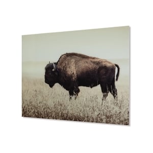 Signature Design by Ashley Brutus Wall Art in Sepia