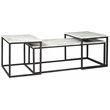Signature Design by Ashley Donnesta Wood Occasional Table Set in Gray and Black