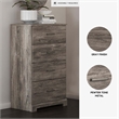 Ashley Furniture Ralinksi Four Drawer Engineered Wood Chest in Gray
