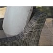 Ashley Furniture Elite Park Resin Outdoor Swivel Lounge with Cushion in Gray