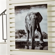 Signature Design by Ashley Glinyard Black & White Wall Art