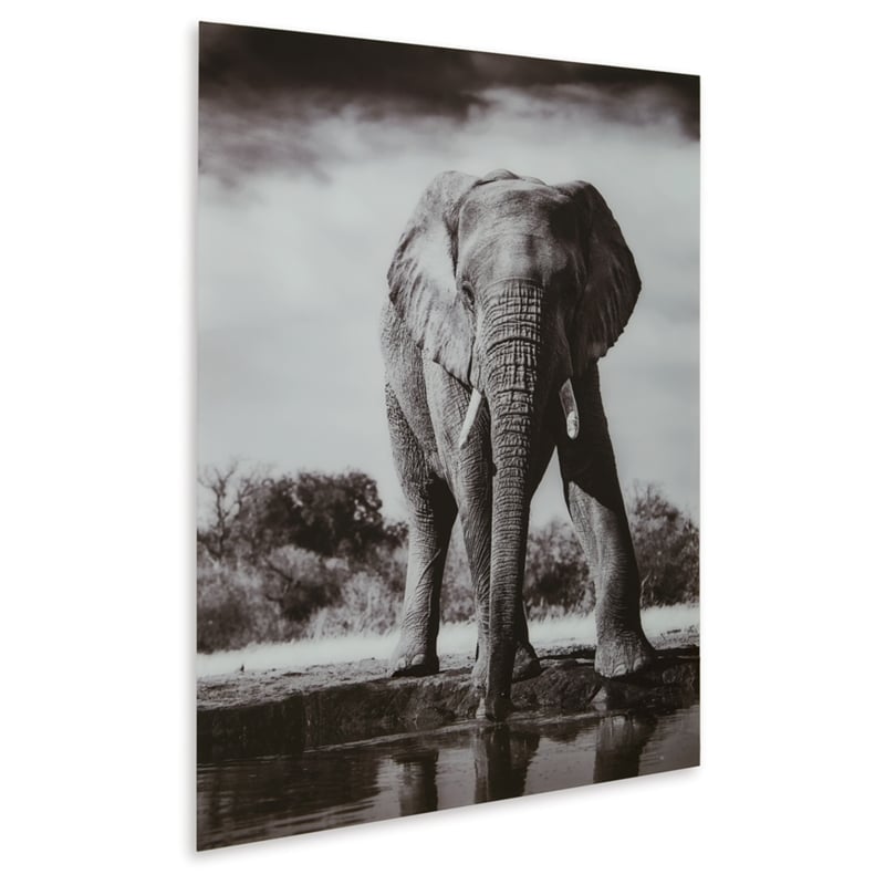 Signature Design by Ashley Glinyard Black & White Wall Art