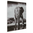 Signature Design by Ashley Glinyard Black & White Wall Art
