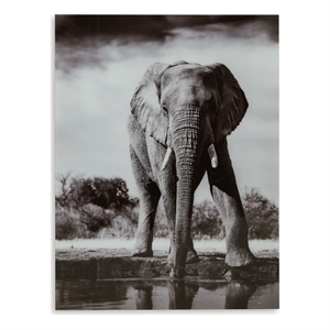 Signature Design by Ashley Glinyard Black & White Wall Art