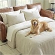 Signature Design by Ashley Carianna Caramel Queen Sofa Sleeper