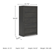Signature Design by Ashley Candanew Black 5 Drawer Chest