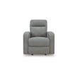 Signature Design by Ashley Carrigan Lane Gray Recliner