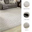 Signature Design by Ashley Wimney Gray Extra Large Rug