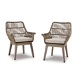 Signature Design by Ashley Carob Fell Arm Chair with Cushion (Set of 2)