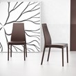 Compamia Miranda Patio Dining Chair in Brown