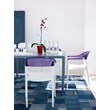 Compamia Carmen Patio Dining Chair with White Seat in Violet