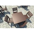 Compamia Ares 5 Piece Square Resin Patio Dining Set in Brown