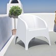 Compamia Aruba Resin Wickerlook Patio Chair in White