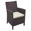 Compamia California Resin Wickerlook Patio Chair in Brown