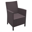 Compamia California Resin Wickerlook Patio Chair in Brown