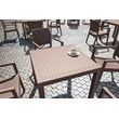 Compamia Ibiza Resin Wickerlook Patio Dining Arm Chair in Brown