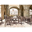 Compamia Ibiza Resin Wickerlook Patio Dining Arm Chair in Brown