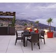 Compamia Ibiza Resin Wickerlook Patio Dining Arm Chair in Brown