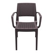 Compamia Capri Resin Patio Dining Arm Chair in Brown