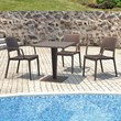 Compamia Capri Resin Patio Dining Arm Chair in Brown