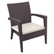 Compamia Miami Resin Club Chair in Brown