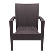 Compamia Miami Resin Club Chair in Brown
