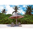 Compamia Miami Square Resin Patio Side Table in Brown