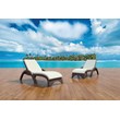 Compamia Miami Resin Wickerlook Patio Chaise Lounge in Brown