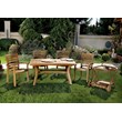 Compamia Marina Patio Dining Arm Chair in Teak Brown
