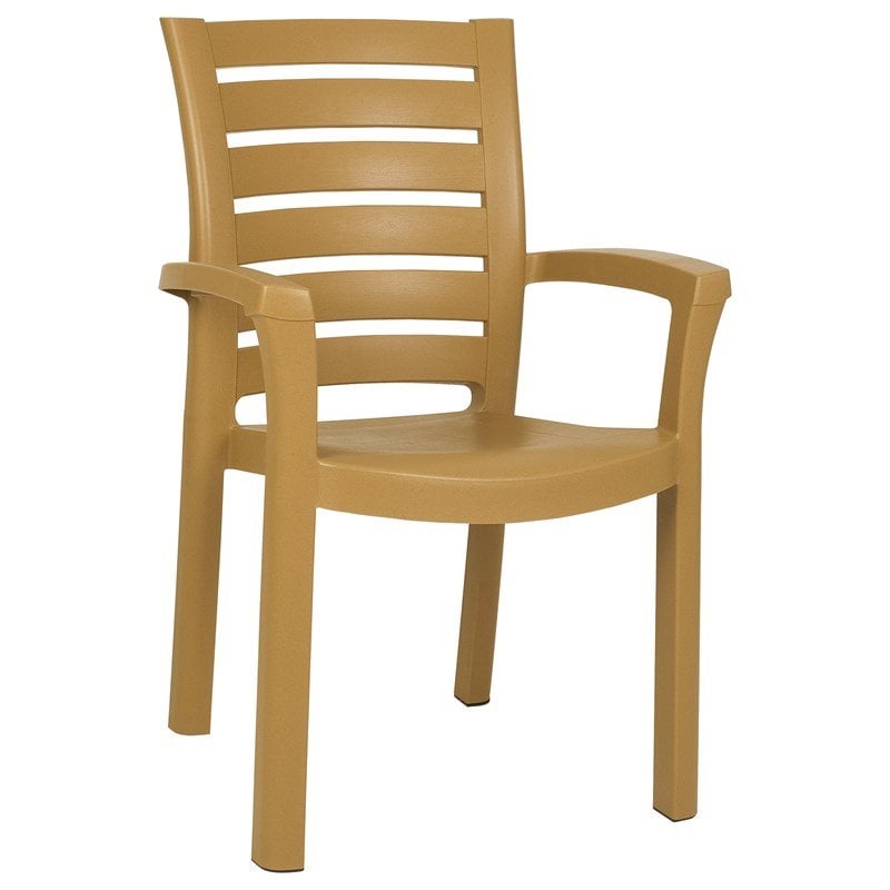 Compamia Marina Patio Dining Arm Chair in Teak Brown