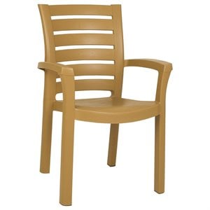 Compamia Marina Patio Dining Arm Chair in Teak Brown
