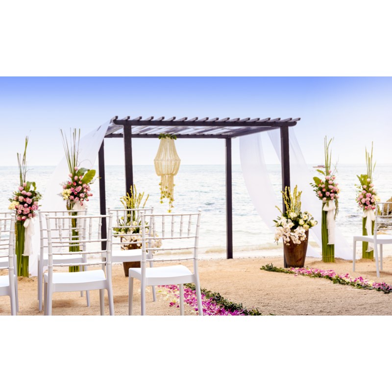 Compamia Josephine Patio Dining Chair in White