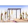 Compamia Josephine Patio Dining Chair in White