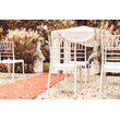 Compamia Josephine Patio Dining Chair in White