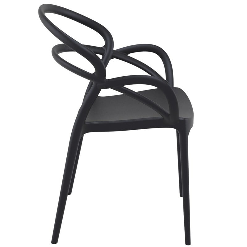 Compamia Mila Dining Arm Chair in Black