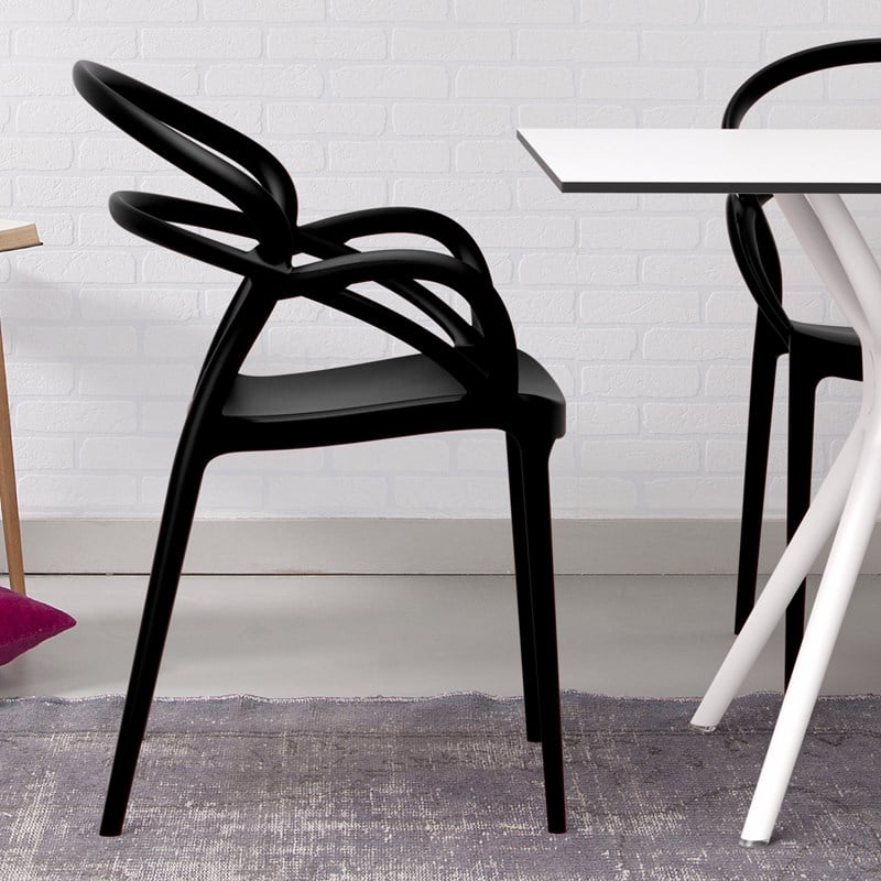 Compamia Mila Dining Arm Chair in Black