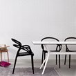 Compamia Mila Dining Arm Chair in Black