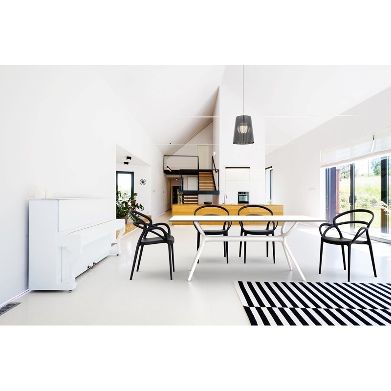 Compamia Mila Dining Arm Chair in Black