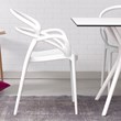 Compamia Mila Dining Arm Chair in White
