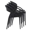 Compamia Sunset Patio Dining Chair in Black