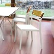 Compamia Moon Patio Dining Chair in White Transparent Amber