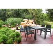 Compamia Ibiza Patio Dining Arm Chair in Dark Gray
