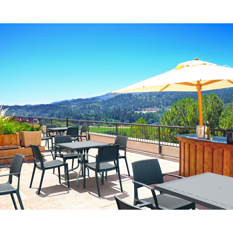 Compamia Capri Patio Dining Arm Chair in Dark Gray