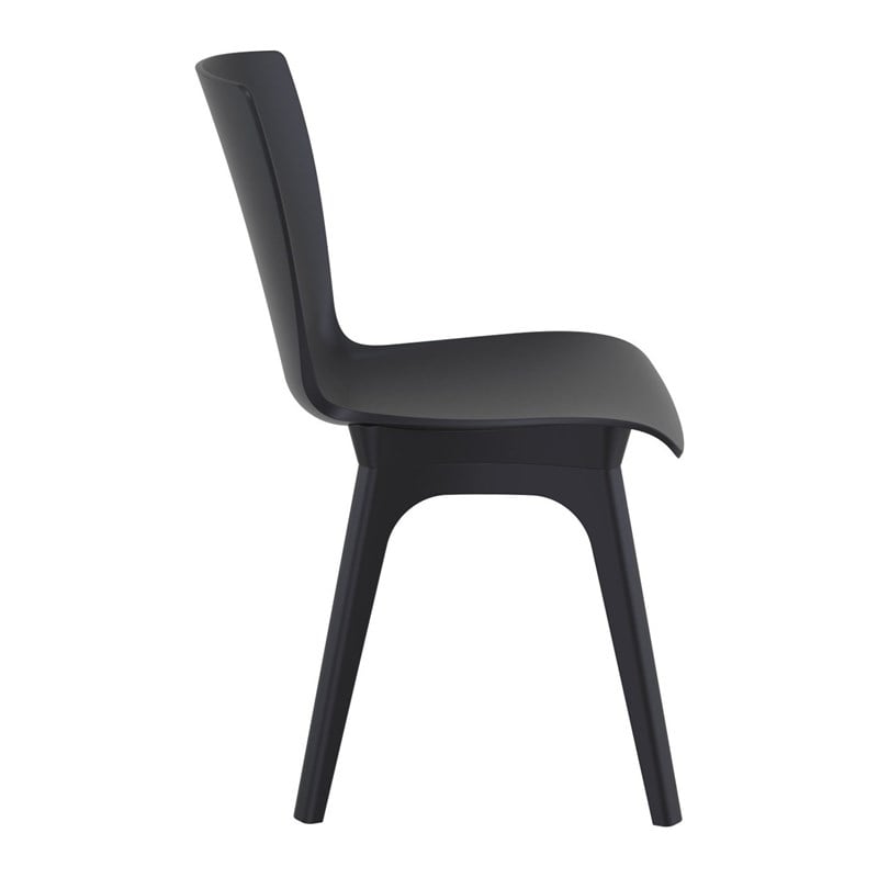 Compamia Mio Dining Side Chair in Black