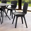 Compamia Mio Dining Side Chair in Black