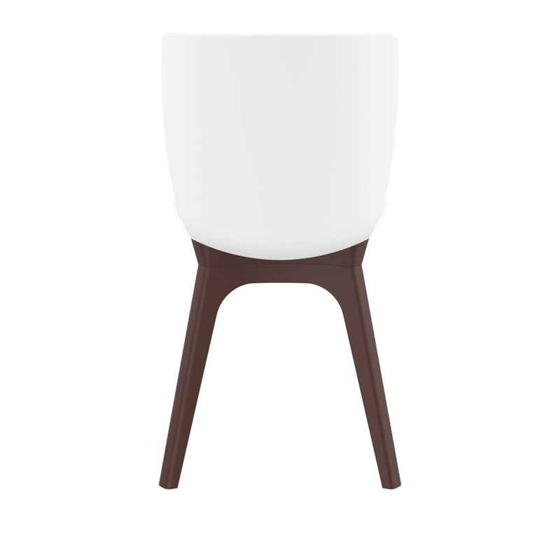 Compamia Mio Dining Side Chair in Brown and White