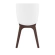 Compamia Mio Dining Side Chair in Brown and White