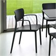 Compamia Lisa Outdoor Dining Arm Chair in Black Finish