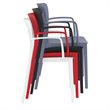 Compamia Lisa Dining Arm Chair in Dark Gray Finish
