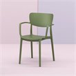 Compamia Lisa Dining Arm Chair in Olive Green finish